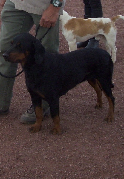 Ixane De ladelazolle